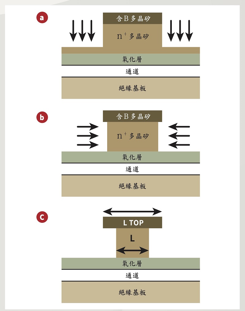 團隊所設計的製作流程，運用LAM TCP 9400蝕刻機成功製作出樣品
