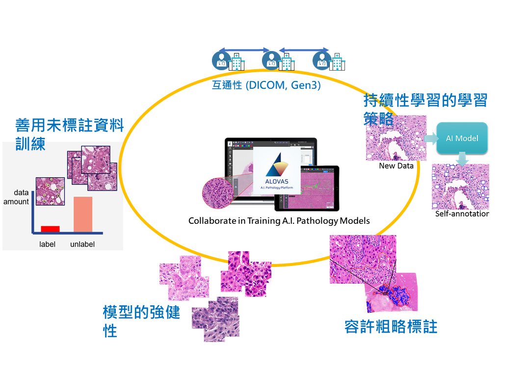 透過ALOVAS平台，順暢與醫師交流，有利於優異的AI模型開發