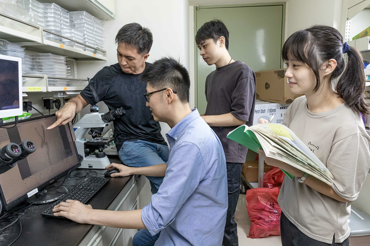 魏子堂與其研究團隊對於大麻素對心血管系統影響的研究，此篇論文發表在國際頂尖期刊《細胞》（Cell）