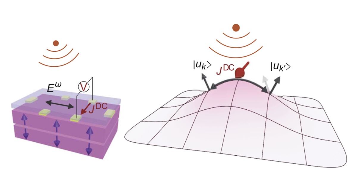 拓樸材料可在太赫茲頻率下產生完美的整流效應，是未來整流器的新興應用材料。右圖爲拓樸物理機制示意，此圖取自Science 381, 181 (2023)